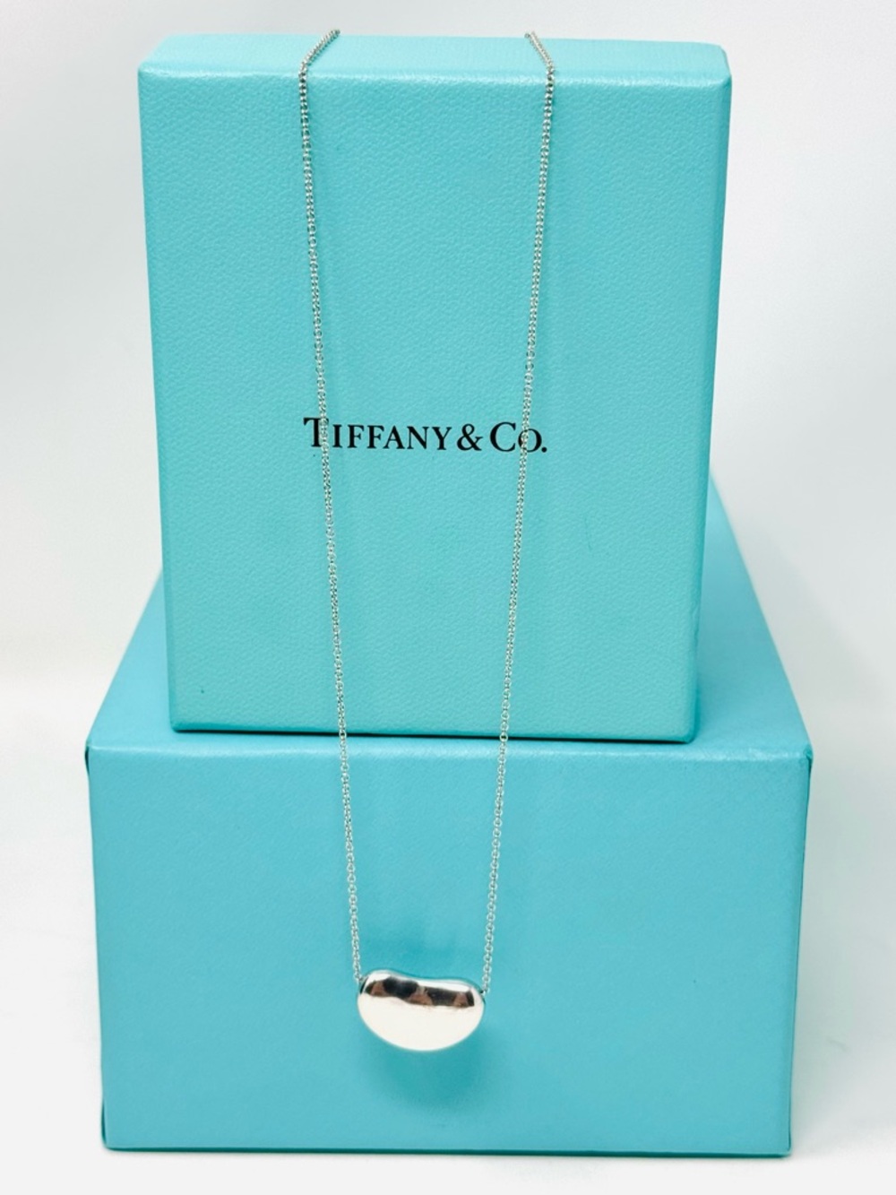 Tiffany & Co. Elsa Peretti Large Bean Sterling Silver Necklace.